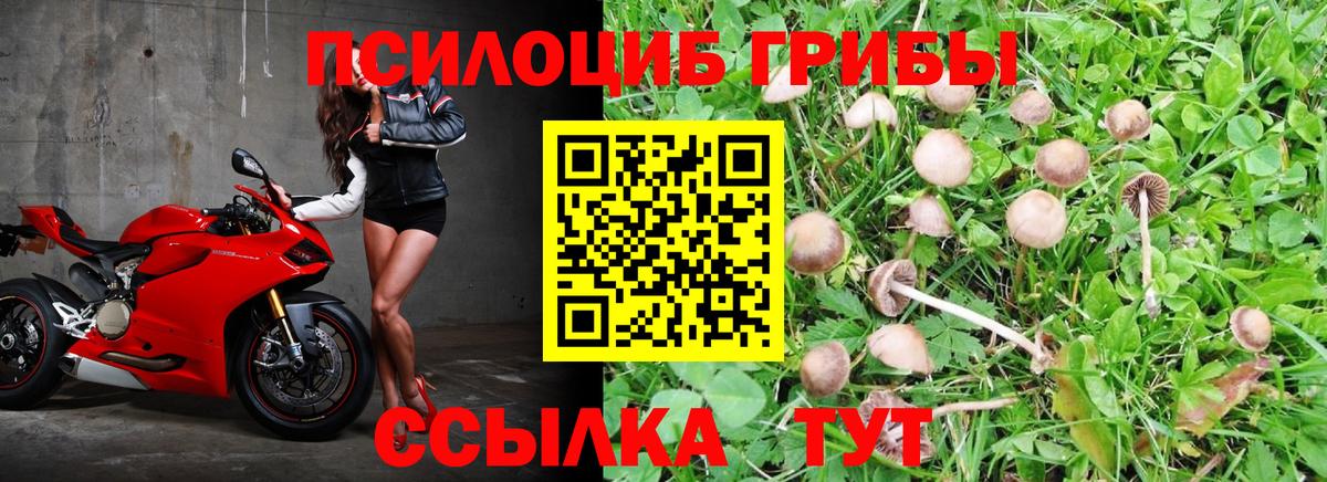 Галлюциногенные грибы MAGIC MUSHROOMS Гай