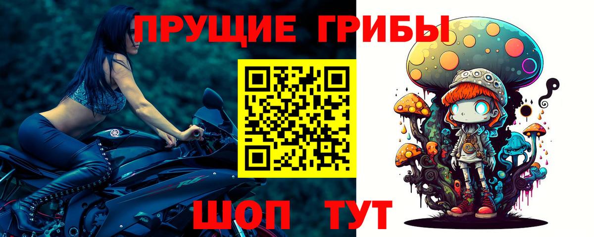 Гай  Псилоцибиновые грибы Psilocybine cubensis  Вход с VPN  Галлюциногенные грибы Psilocybe 