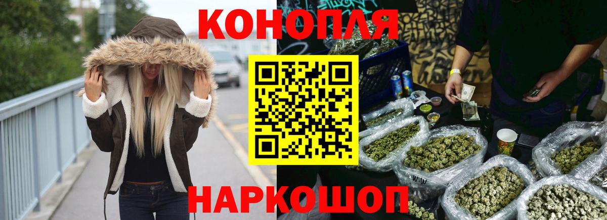 Шишки марихуана планчик  Вход с VPN  МАРИХУАНА ГИДРОПОН  Гай  Конопля OG Kush 